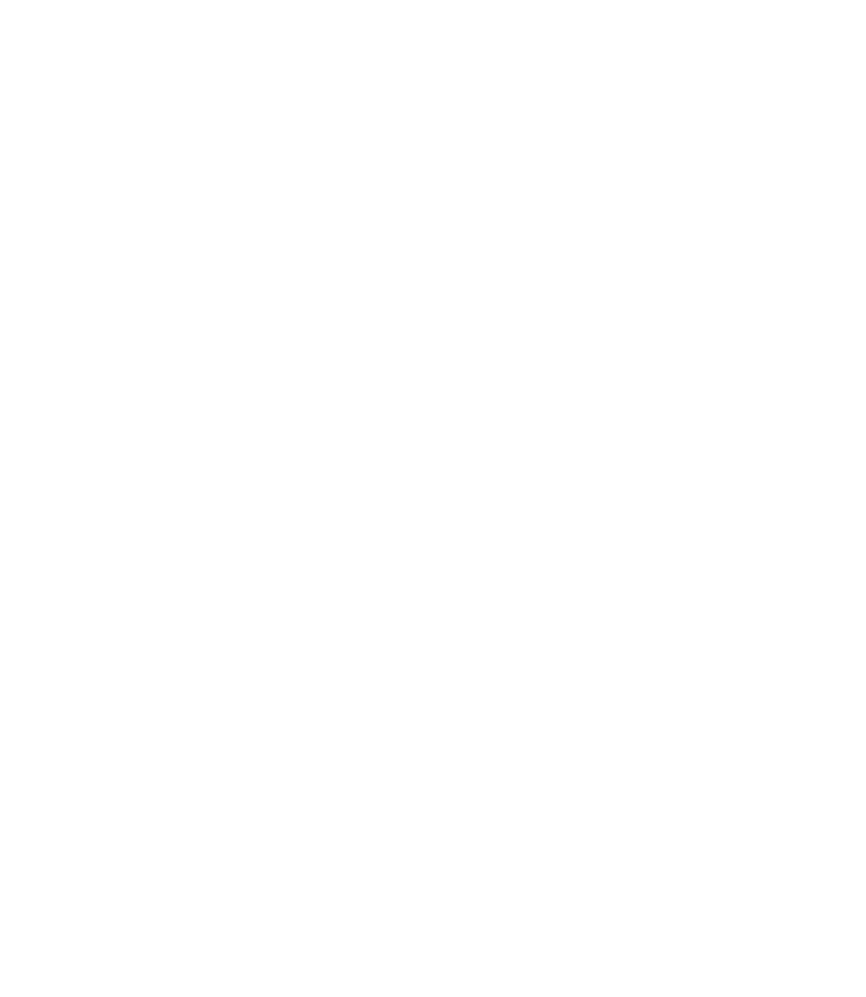 Fitness App Logo